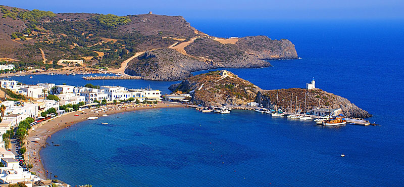Citera
